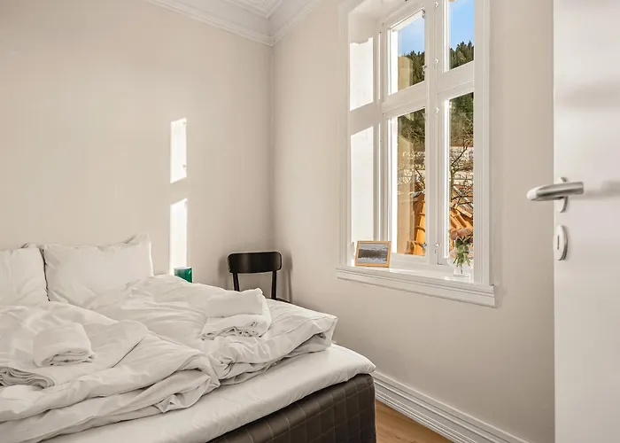 Center - Location Appartement